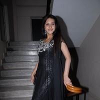 Ayshickka Sharma Latest Gallery | Picture 93686